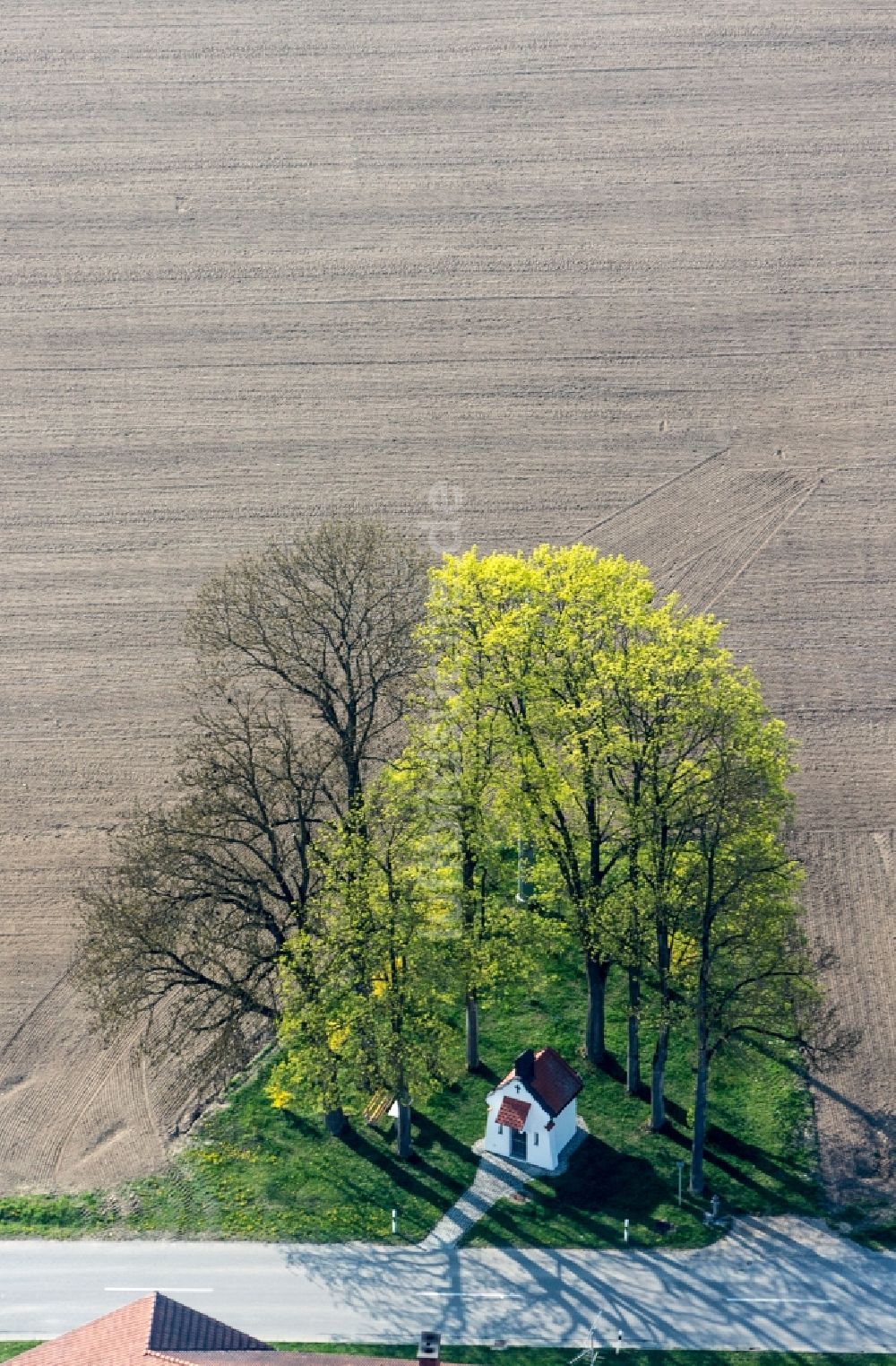 Luftaufnahme Velden - Baum- Insel mit kleiner Kapelle auf einem Feld in Velden im Bundesland Bayern