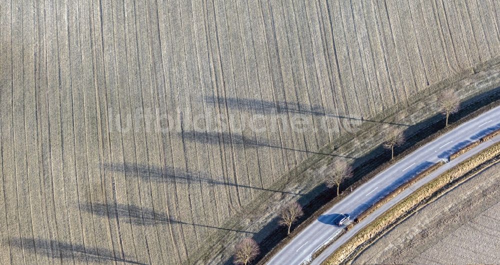 Luftbild Kumhausen - Baumreihe an einer Landstraße an einem Feldrand in Kumhausen im Bundesland Bayern