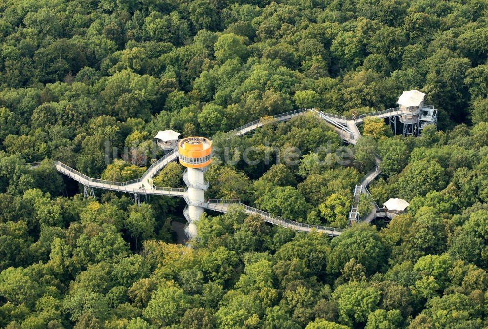 Bad Langensalza von oben - Baumturm im Baumkronenpfad in Thüringer Nationalpark Hainich im Bundesland Thüringen