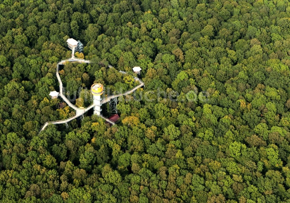 Luftbild Bad Langensalza - Baumturm im Baumkronenpfad in Thüringer Nationalpark Hainich im Bundesland Thüringen