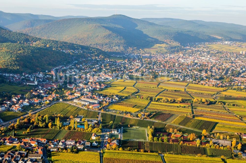 Luftbild Neustadt an der Weinstraße - Dorf - Ansicht am Rande von Weinbergen im Ortsteil Hambach in Neustadt an der Weinstraße im Bundesland Rheinland-Pfalz, Deutschland