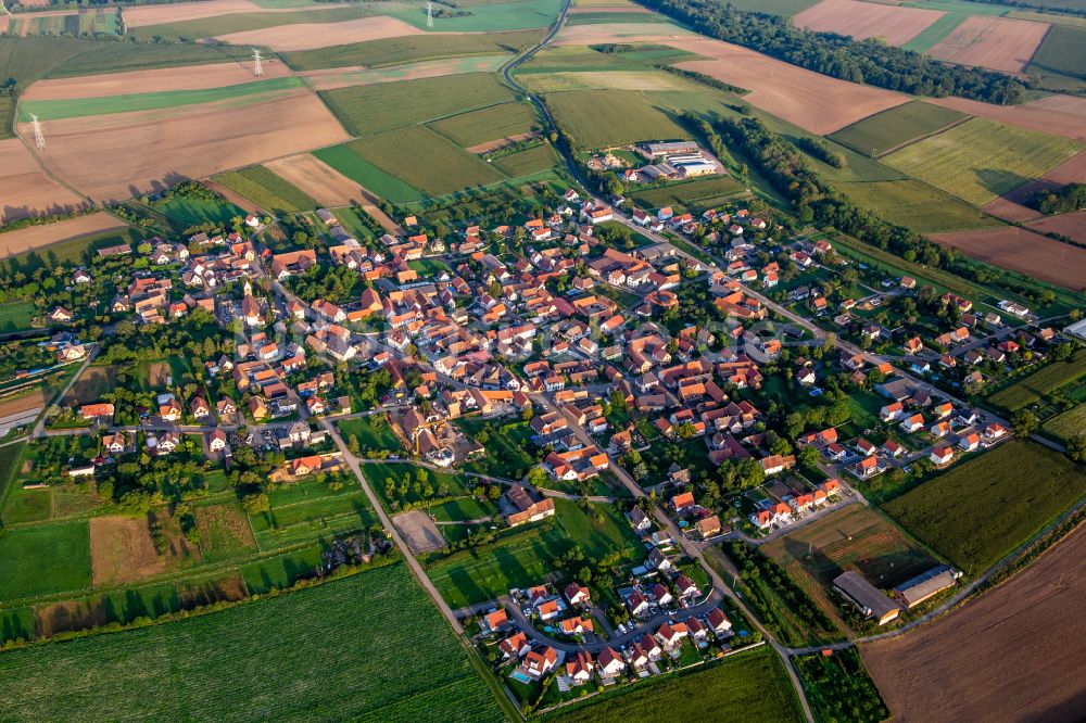 Saessolsheim aus der Vogelperspektive: Dorfkern am Feldrand in Saessolsheim in Grand Est, Frankreich