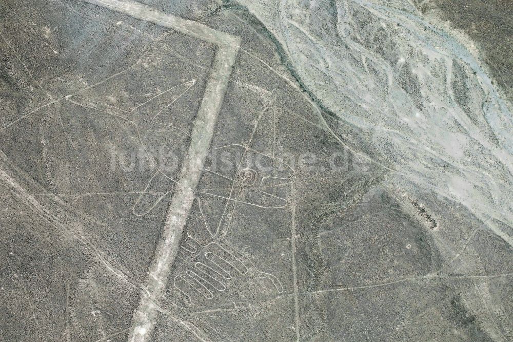 Luftbild Nazca - Erd- und Bodenzeichnung in der Wüste in Nazca in Ica, Peru