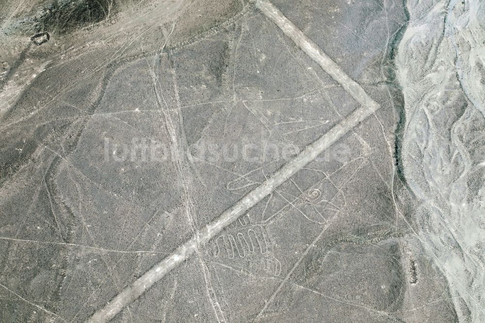 Luftaufnahme Nazca - Erd- und Bodenzeichnung in der Wüste in Nazca in Ica, Peru