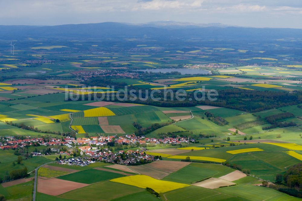 Landolfshausen aus der Vogelperspektive: Feld- Landschaft gelb blühender Raps- Blüten in Landolfshausen im Bundesland Niedersachsen, Deutschland