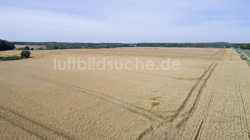 Luftaufnahme Zapel - Getreidefeld in Zapel im Bundesland Mecklenburg-Vorpommern, Deutschland