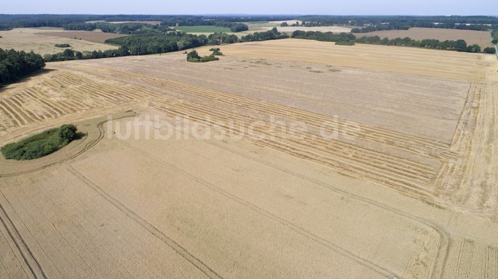 Zapel von oben - Getreidefeld in Zapel im Bundesland Mecklenburg-Vorpommern, Deutschland