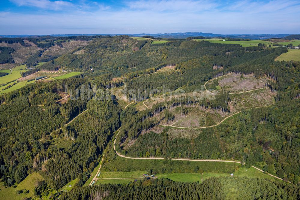 Luftaufnahme Finnentrop - Kahle Fläche eines gerodeten Waldbestandes in Finnentrop im Bundesland Nordrhein-Westfalen, Deutschland