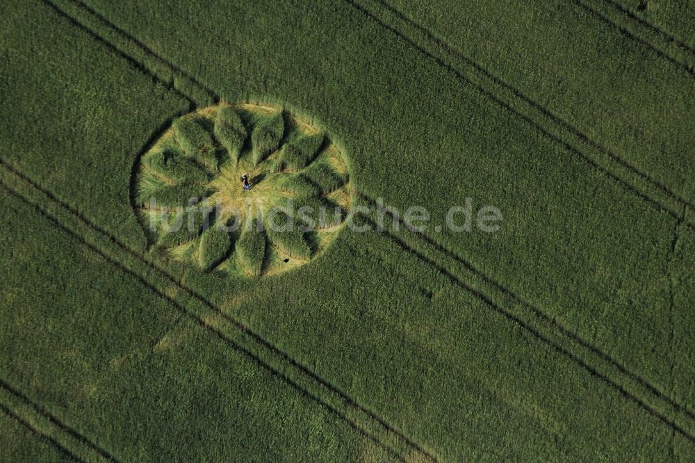 Luftbild Schönefeld - Kornkreis in einem Getreide- Feld im Ortsteil Großziethen in Schönefeld im Bundesland Brandenburg
