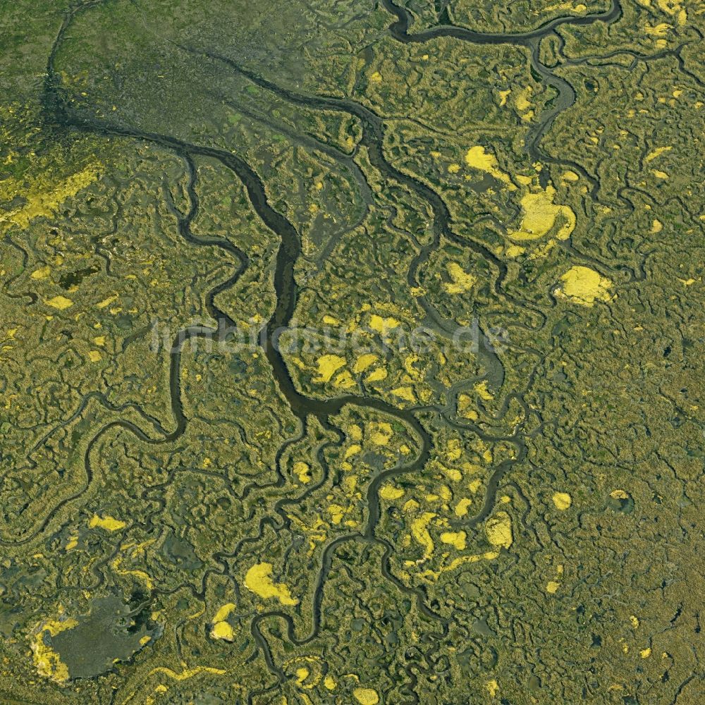 Luftaufnahme Conche - Lagunen- Wasseroberfläche in einer Teichlandschaft in Conche in Veneto, Italien