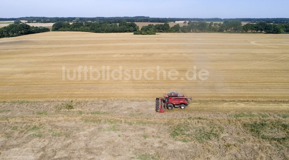 Luftbild Zapel - Mähdrescher auf einem Getreidefeld in Zapel im Bundesland Mecklenburg-Vorpommern, Deutschland