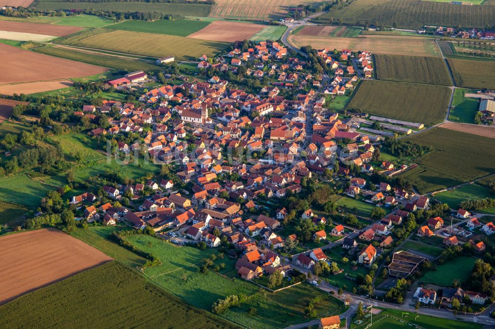 Luftbild Zeinheim - Ortsansicht am Rande von landwirtschaftlichen Feldern in Willgottheim in Grand Est, Frankreich