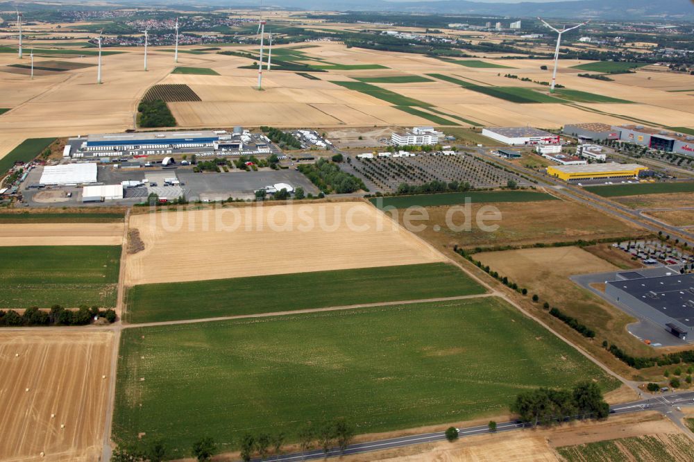 Hechtsheim von oben - Strukturen auf landwirtschaftlichen Feldern in Hechtsheim im Bundesland Rheinland-Pfalz, Deutschland