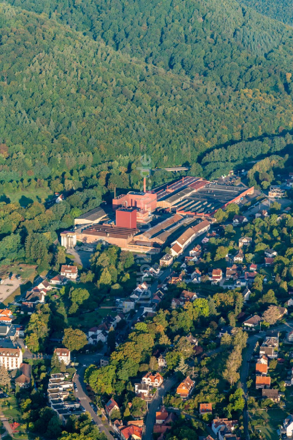 Luftbild Niederbronn-les-Bains - Werksgelände der Gießerei Fonderie NIEDERBRONN in Niederbronn-les-Bains in Grand Est, Frankreich