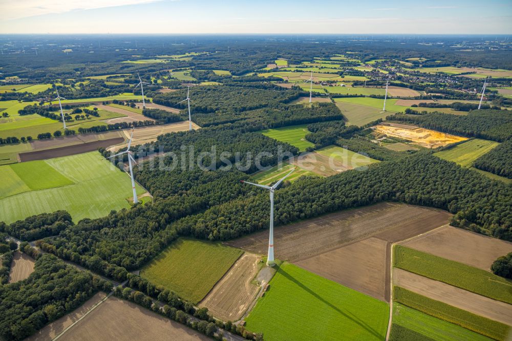 Haltern am See aus der Vogelperspektive: Windenergieanlagen (WEA) - Windrad- in einem Waldstück in Haltern am See im Bundesland Nordrhein-Westfalen, Deutschland