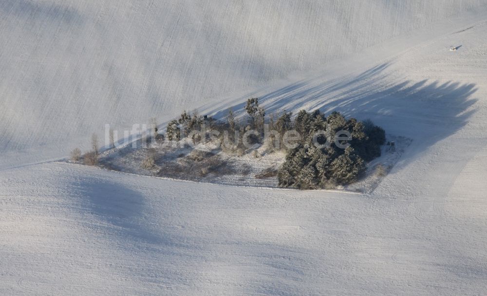 Marienwerder aus der Vogelperspektive: Winterlich schneebedecktes Feld mit kleiner Schonung bei Marienwerder im Bundesland Brandenburg