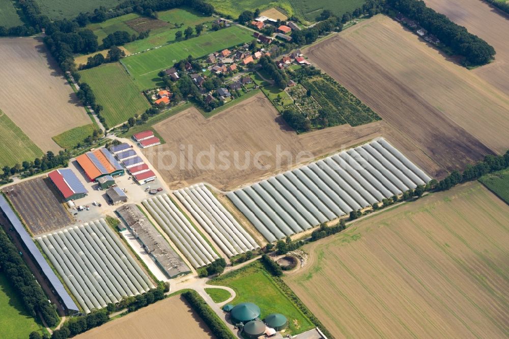 Luftaufnahme Deinste - Abgedeckte Reihen mit Spargel- Anbau auf Feld- Flächen in Deinste im Bundesland Niedersachsen, Deutschland