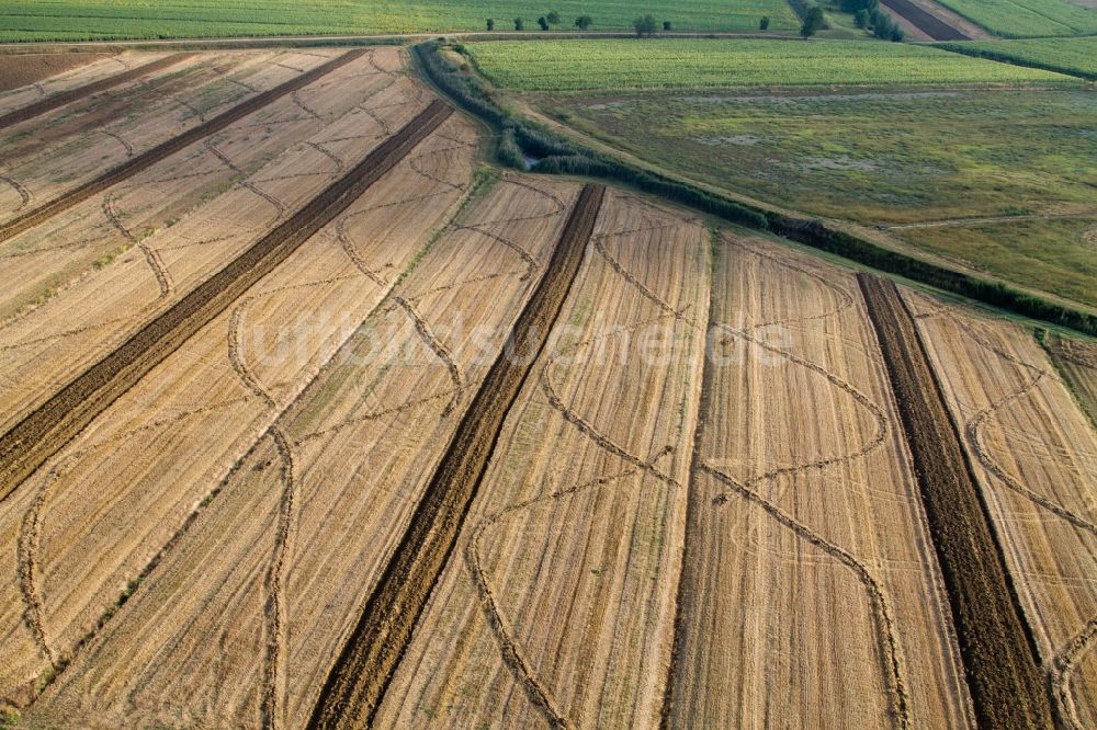 Anatraia von oben - Abgeerntete Kornfeld-Strukturen auf einem Getreidefeld in Anatraia in Toscana, Italien