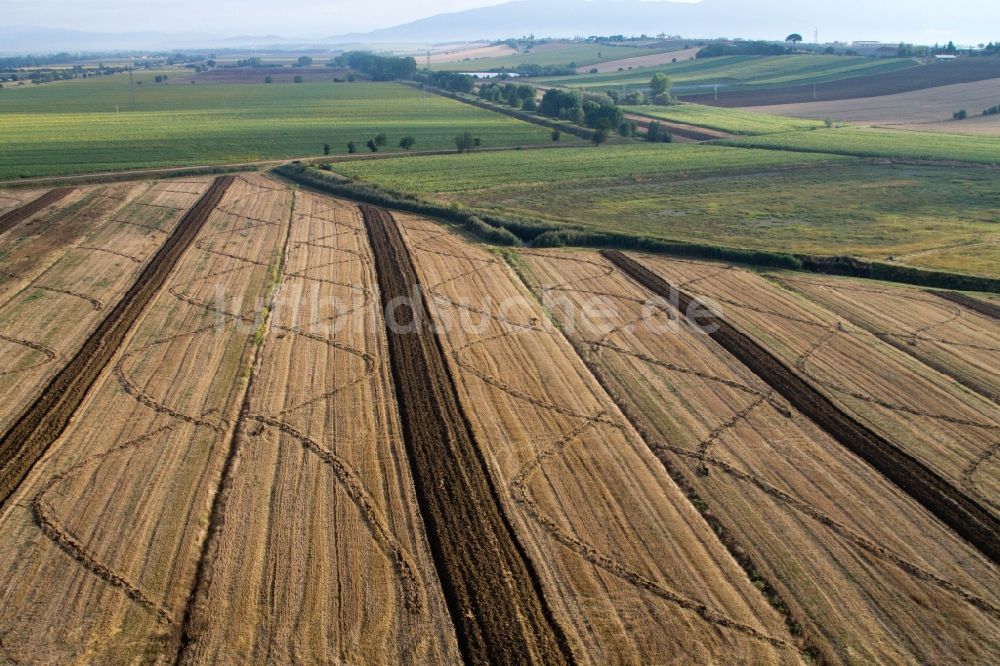 Anatraia aus der Vogelperspektive: Abgeerntete Kornfeld-Strukturen auf einem Getreidefeld in Anatraia in Toscana, Italien