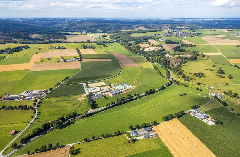 Luftbild Brilon - Abgeerntete Kornfeld-Strukturen auf einem Getreidefeld in Brilon im Bundesland Nordrhein-Westfalen, Deutschland