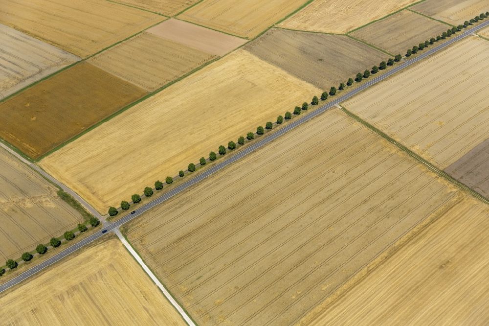 Luftaufnahme Holzheim - Abgeerntete Kornfeld-Strukturen auf einem Getreidefeld in Holzheim im Bundesland Rheinland-Pfalz