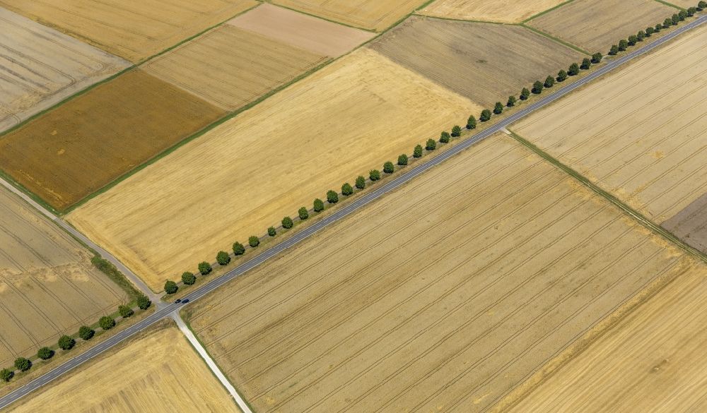 Holzheim von oben - Abgeerntete Kornfeld-Strukturen auf einem Getreidefeld in Holzheim im Bundesland Rheinland-Pfalz