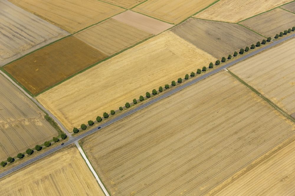 Holzheim aus der Vogelperspektive: Abgeerntete Kornfeld-Strukturen auf einem Getreidefeld in Holzheim im Bundesland Rheinland-Pfalz