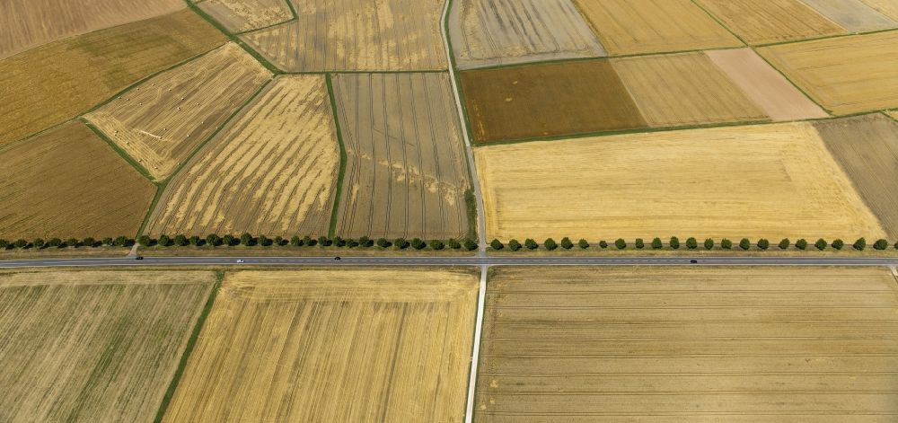Luftbild Holzheim - Abgeerntete Kornfeld-Strukturen auf einem Getreidefeld in Holzheim im Bundesland Rheinland-Pfalz