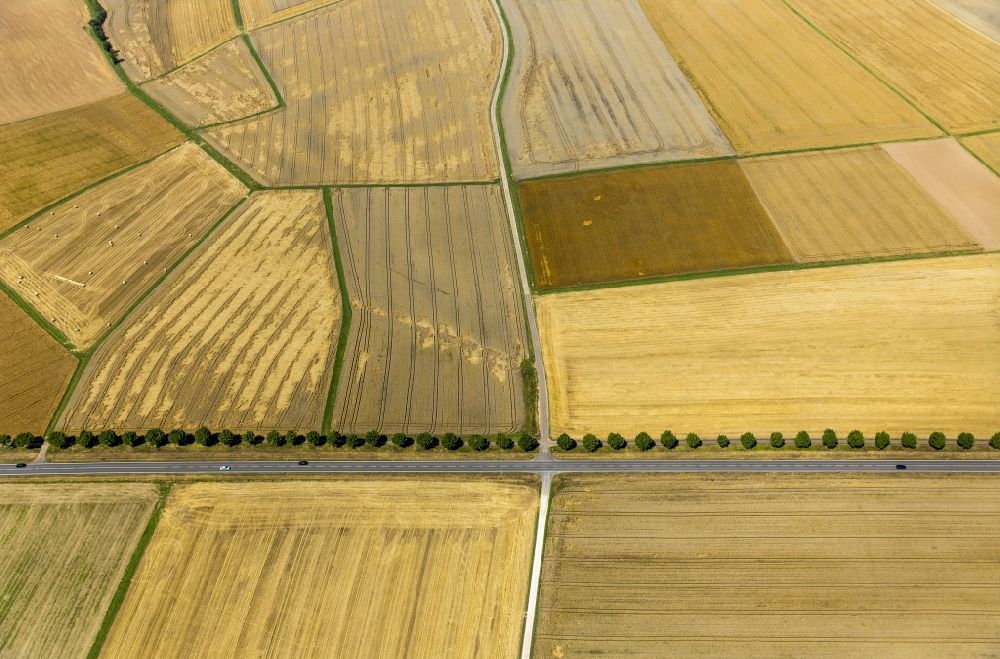 Luftaufnahme Holzheim - Abgeerntete Kornfeld-Strukturen auf einem Getreidefeld in Holzheim im Bundesland Rheinland-Pfalz