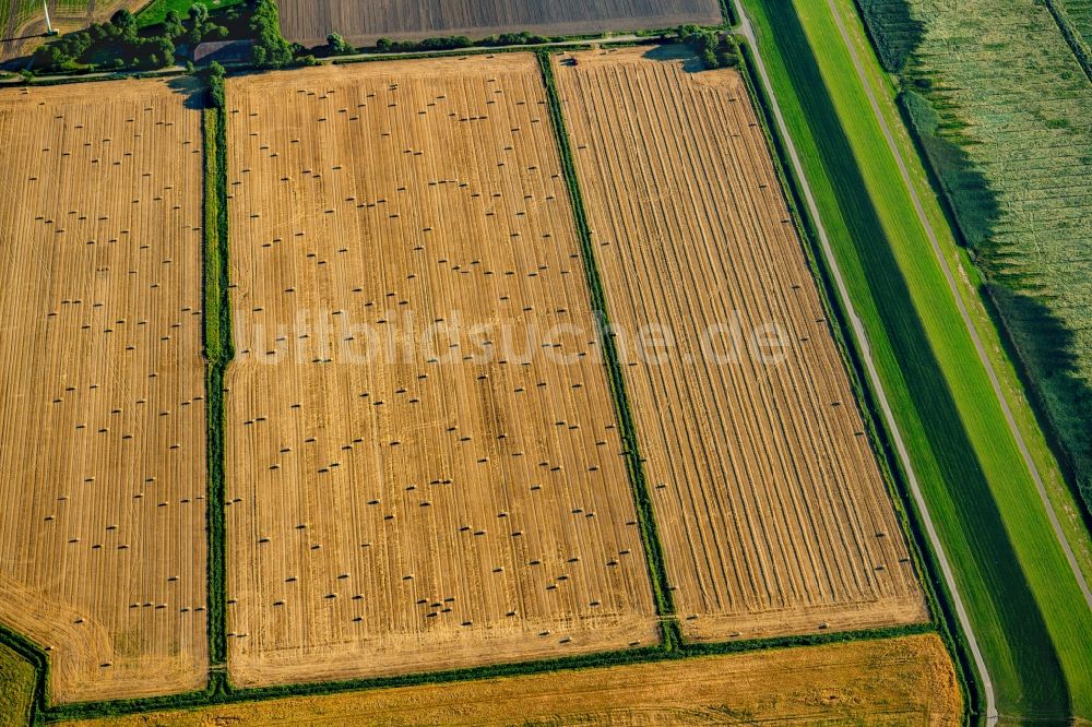 Krummhörn von oben - Abgeerntete Kornfeld-Strukturen auf einem Getreidefeld in Krummhörn im Bundesland Niedersachsen, Deutschland