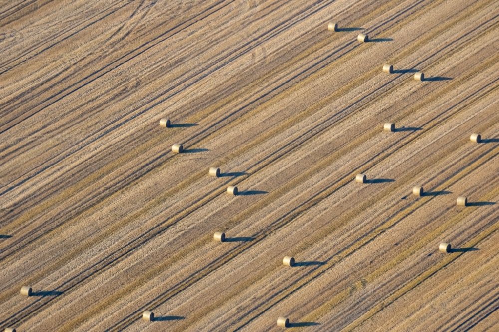 Luftbild Lünen - Abgeerntete Kornfeld-Strukturen auf einem Getreidefeld in Lünen im Bundesland Nordrhein-Westfalen, Deutschland