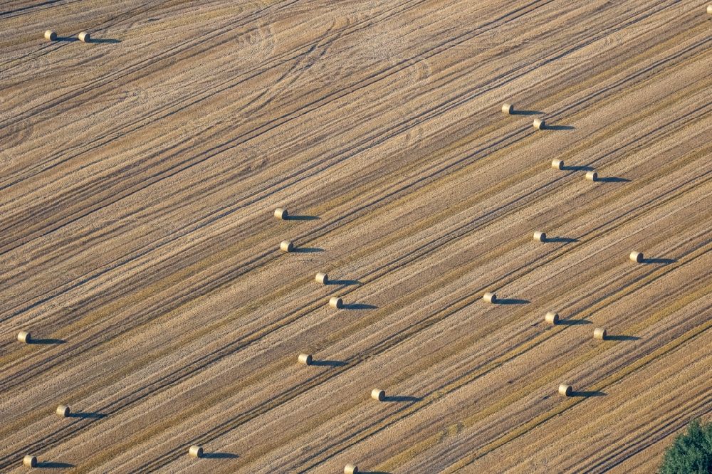 Luftaufnahme Lünen - Abgeerntete Kornfeld-Strukturen auf einem Getreidefeld in Lünen im Bundesland Nordrhein-Westfalen, Deutschland
