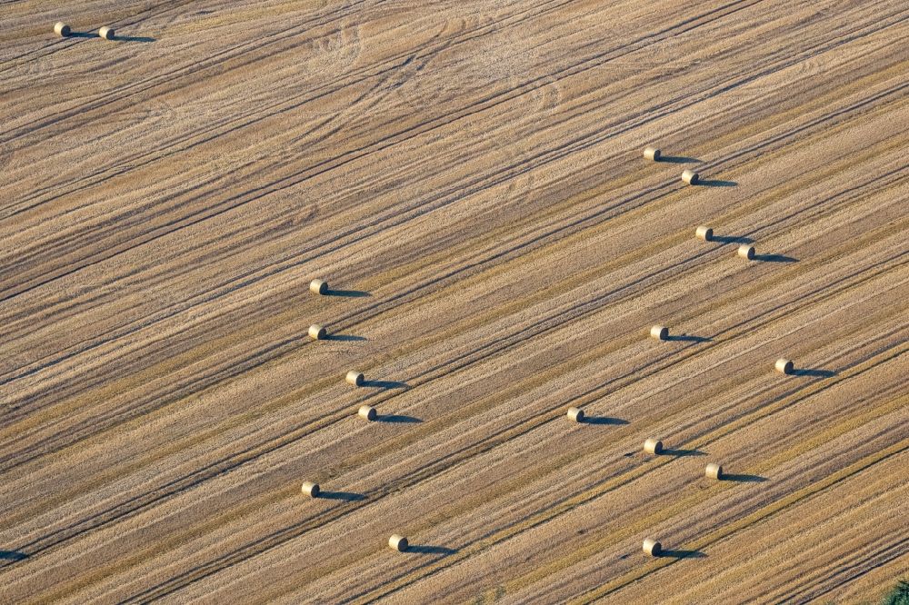 Lünen von oben - Abgeerntete Kornfeld-Strukturen auf einem Getreidefeld in Lünen im Bundesland Nordrhein-Westfalen, Deutschland
