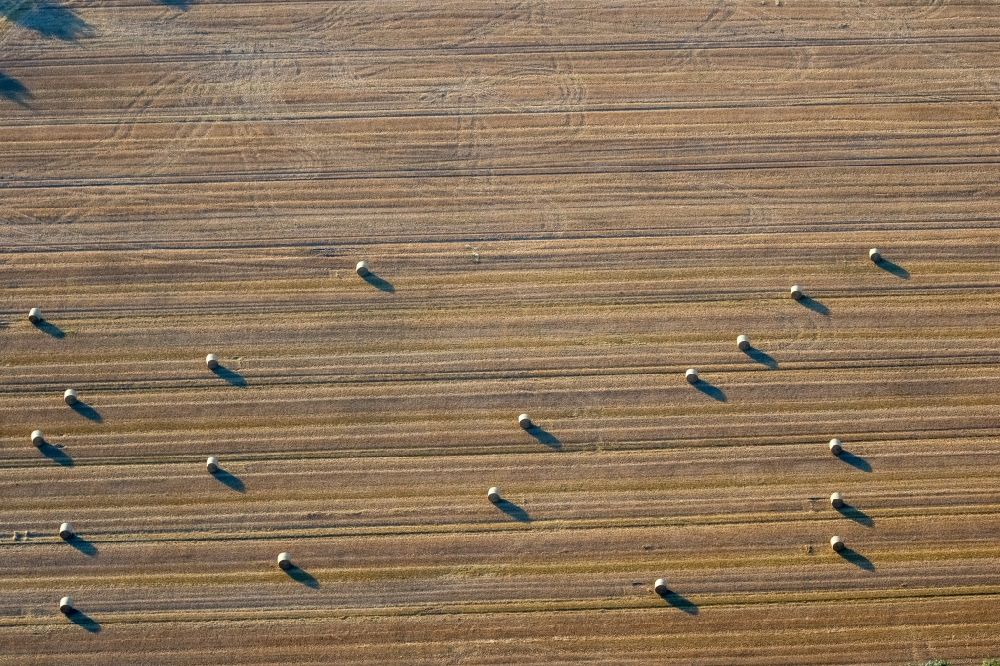 Lünen aus der Vogelperspektive: Abgeerntete Kornfeld-Strukturen auf einem Getreidefeld in Lünen im Bundesland Nordrhein-Westfalen, Deutschland