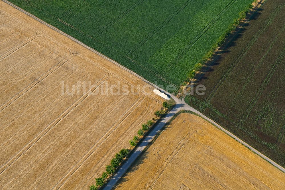 Osthausen von oben - Abgeerntete Kornfeld-Strukturen auf einem Getreidefeld in Osthausen im Bundesland Thüringen, Deutschland