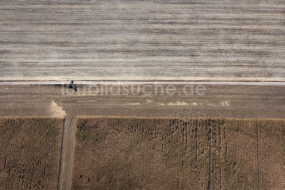 Luftbild Tonna - Abgeerntete Kornfeld-Strukturen auf einem Getreidefeld in Tonna im Bundesland Thüringen, Deutschland