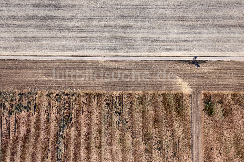 Tonna von oben - Abgeerntete Kornfeld-Strukturen auf einem Getreidefeld in Tonna im Bundesland Thüringen, Deutschland