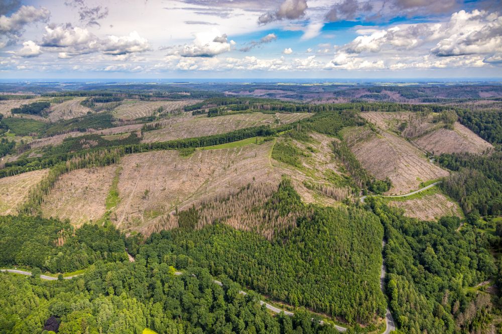 Luftbild Arnsberg - Abgestorbene Baumspitzen in einem Waldgebiet in Arnsberg im Bundesland Nordrhein-Westfalen, Deutschland