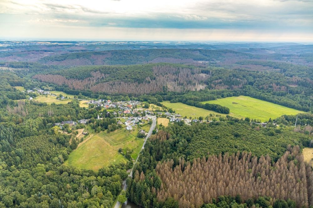 Luftaufnahme Breitenbruch - Abgestorbene Baumspitzen in einem Waldgebiet in Breitenbruch im Bundesland Nordrhein-Westfalen, Deutschland