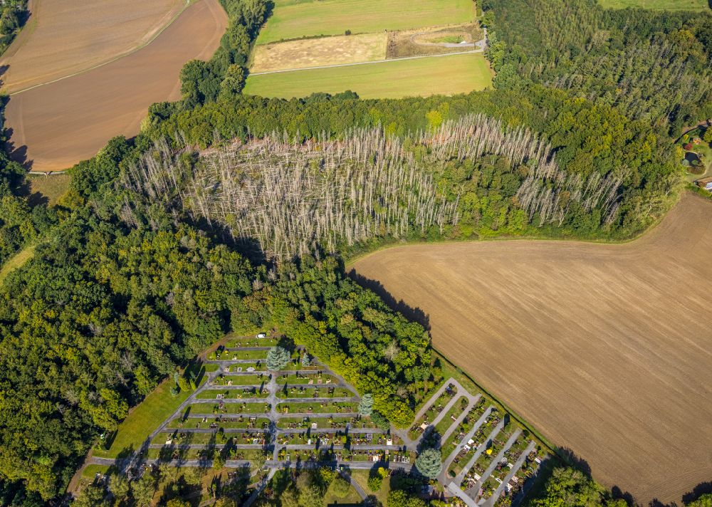 Luftbild Fröndenberg/Ruhr - Abgestorbene Baumspitzen in einem Waldgebiet in Fröndenberg/Ruhr im Bundesland Nordrhein-Westfalen, Deutschland