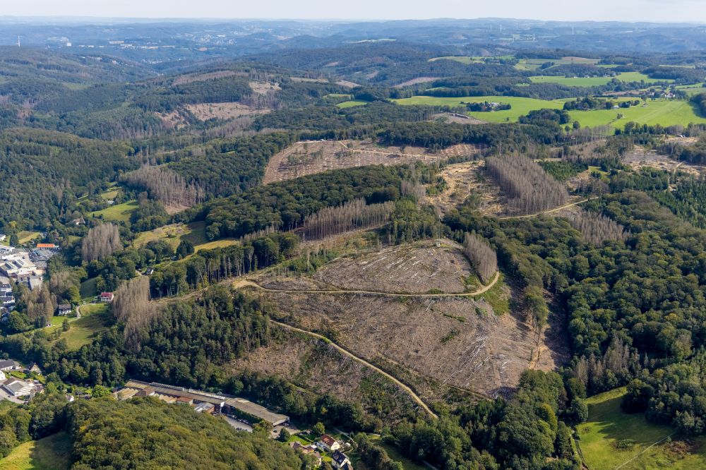 Luftbild Hasperbach - Abgestorbene Baumspitzen in einem Waldgebiet in Hasperbach im Bundesland Nordrhein-Westfalen, Deutschland