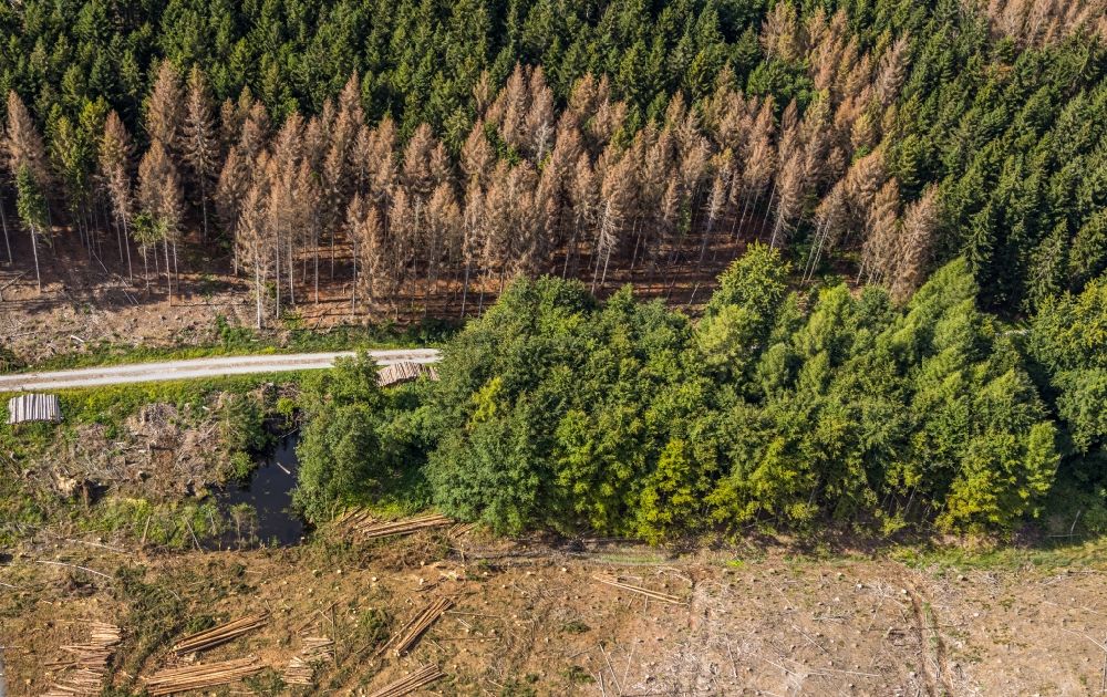 Luftaufnahme Hemmecker Bruch - Abgestorbene Baumspitzen in einem Waldgebiet in Hemmecker Bruch im Bundesland Nordrhein-Westfalen, Deutschland