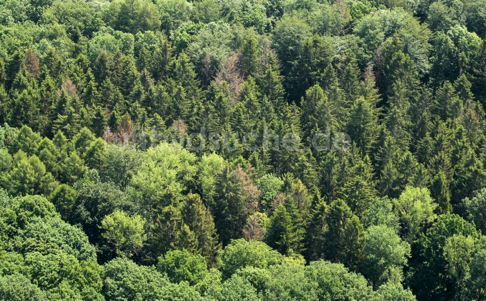 Luftbild Marolterode - Abgestorbene Baumspitzen in einem Waldgebiet in Marolterode im Bundesland Thüringen, Deutschland