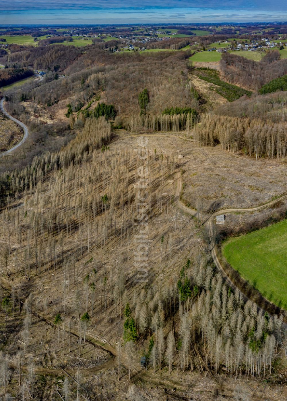 Luftbild Unterbörsch - Abgestorbene Baumspitzen in einem Waldgebiet in Unterbörsch im Bundesland Nordrhein-Westfalen, Deutschland