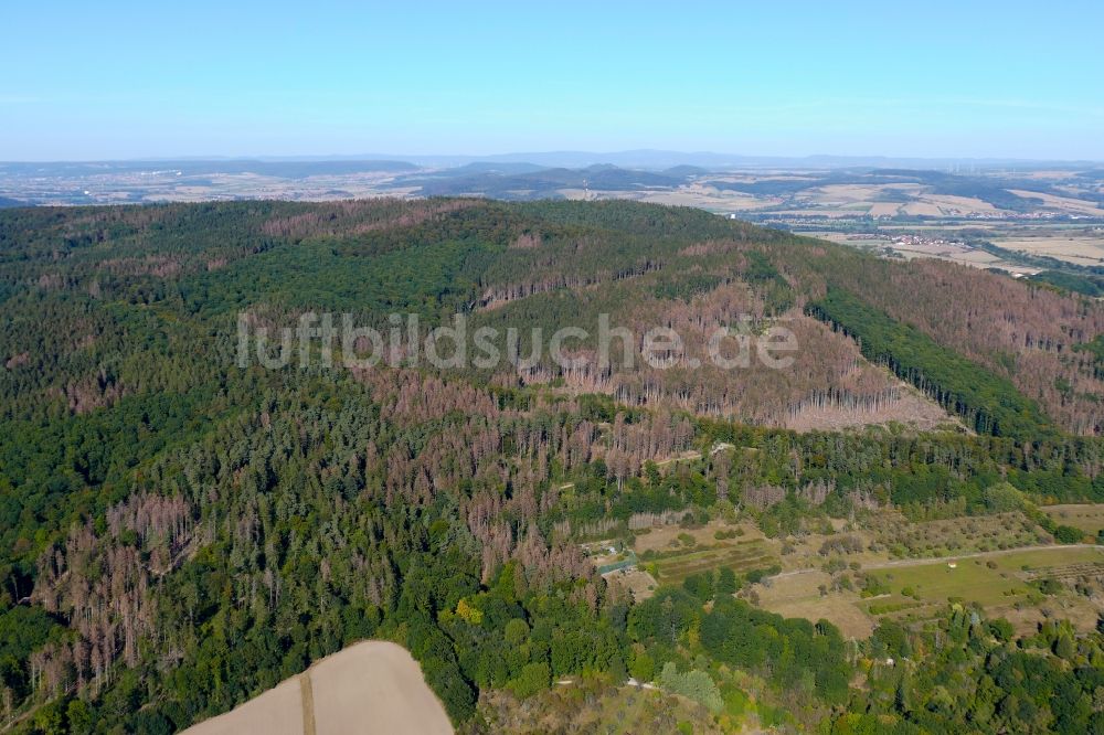 Witzenhausen aus der Vogelperspektive: Abgestorbene Baumspitzen in einem Waldgebiet in Witzenhausen im Bundesland Hessen, Deutschland