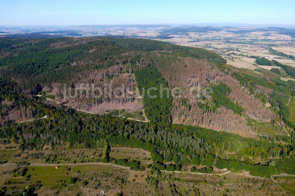 Luftbild Witzenhausen - Abgestorbene Baumspitzen in einem Waldgebiet in Witzenhausen im Bundesland Hessen, Deutschland