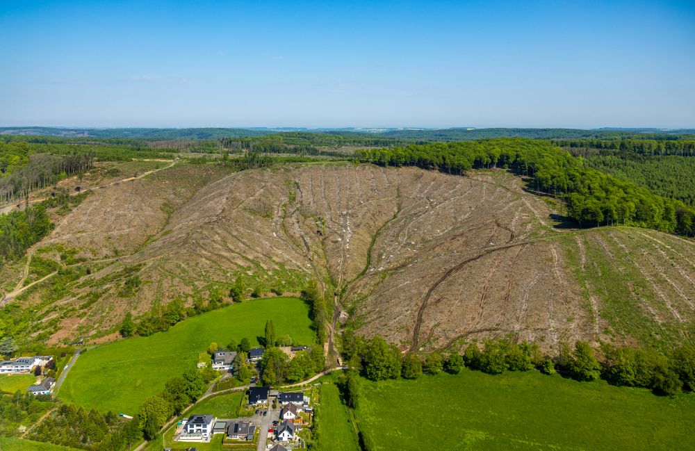 Luftaufnahme Arnsberg - Abgestorbene Baumspitzen und gerodete Waldfläche in Arnsberg im Bundesland Nordrhein-Westfalen, Deutschland