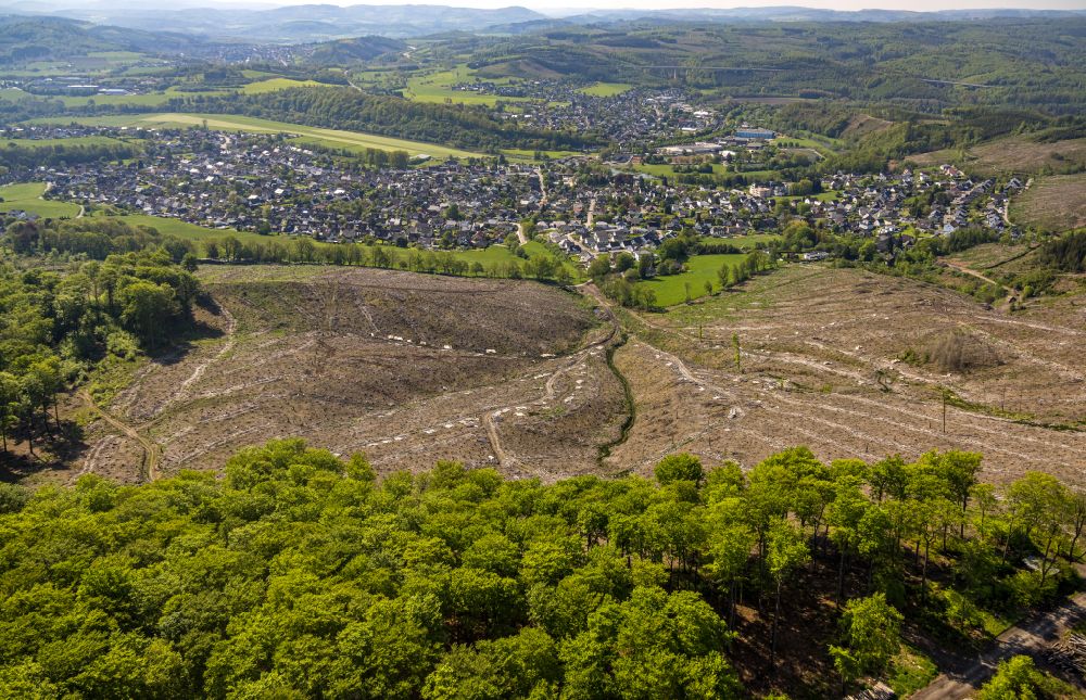 Luftbild Arnsberg - Abgestorbene Baumspitzen und gerodete Waldfläche in Arnsberg im Bundesland Nordrhein-Westfalen, Deutschland
