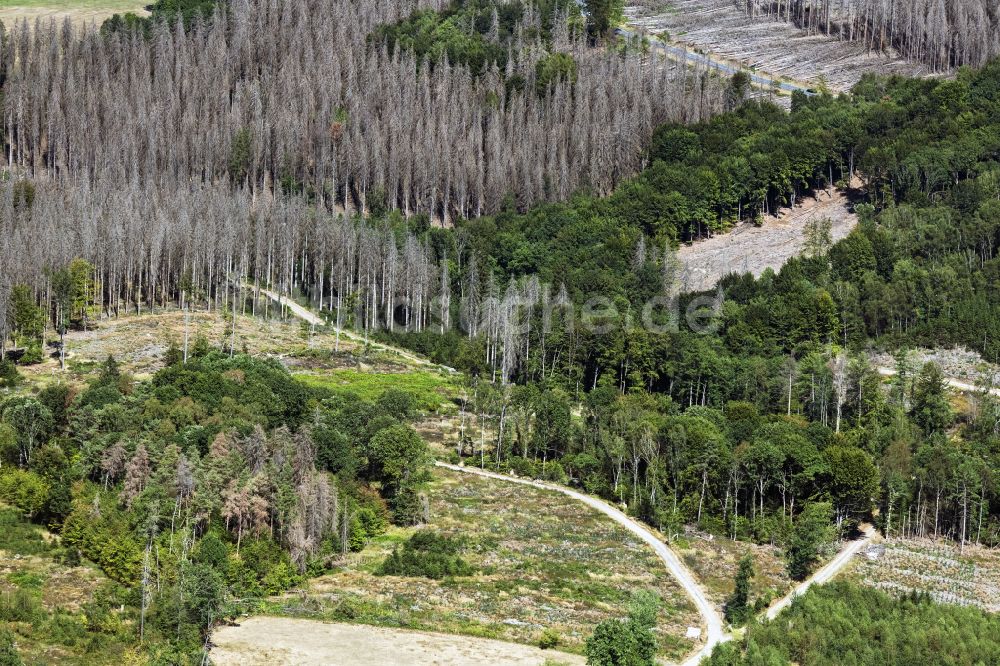 Luftaufnahme Engelskirchen - Abgestorbene Bäume durch den Borkenkäfer in einem Waldgebiet in Engelskirchen im Bundesland Nordrhein-Westfalen, Deutschland
