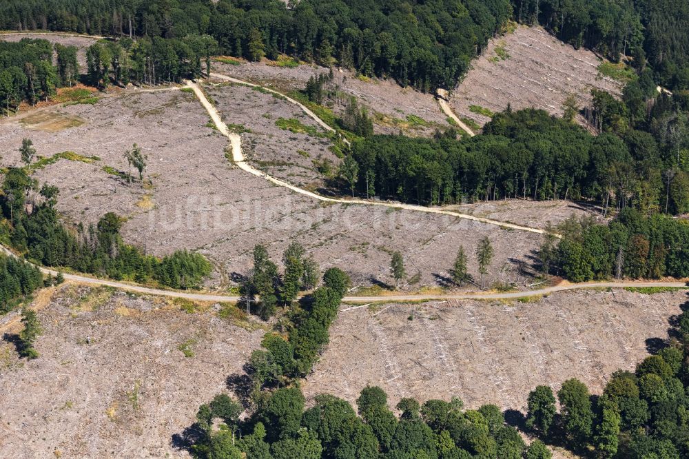 Engelskirchen von oben - Abgestorbene Bäume durch den Borkenkäfer in einem Waldgebiet in Engelskirchen im Bundesland Nordrhein-Westfalen, Deutschland
